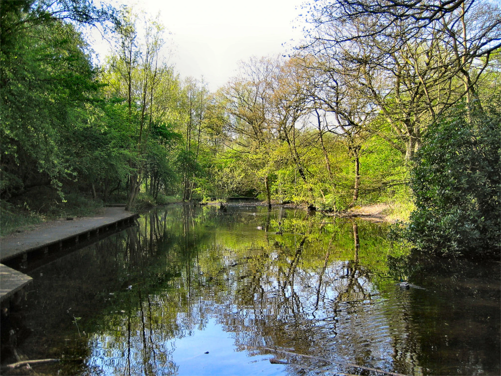 An image of a lake in Warrington