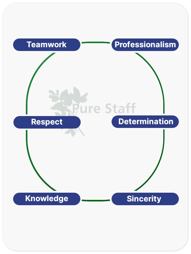 Pure Staff's Core Values.